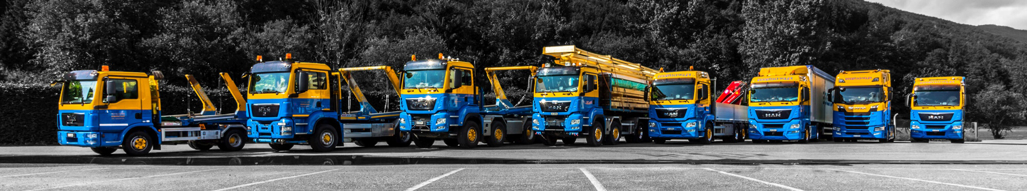 Eggenschwiler Transporte